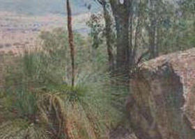 Mount Lawson State Park - QLD Tourism 0