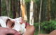 Piaf Day Spa Yarra Valley - thumb 0