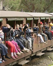 Puffing Billy Steam Railway - Queensland Tourism 1