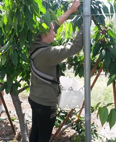 Mouat's Farm - Queensland Tourism 4