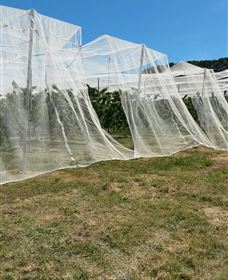 Mouat's Farm - Queensland Tourism 5
