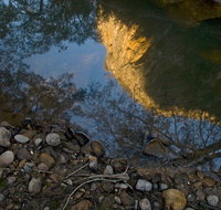 Abercrombie Karst Conservation Reserve - QLD Tourism