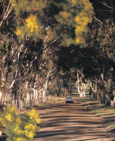 Wogolin ACT QLD Tourism