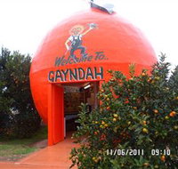 Gayndahs Big Orange - QLD Tourism