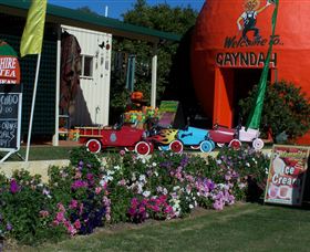 Gayndahs Big Orange - QLD Tourism 1