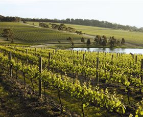 Yabby Lake Vineyard & Cellar Door - QLD Tourism 7