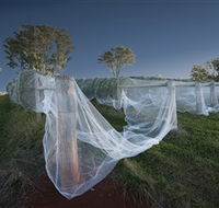 Toppers Mountain Wines - QLD Tourism