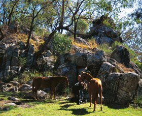 Coomba Falls - Queensland Tourism 0