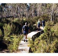 Hume and Hovell Walking Track - Henry Angel Trackhead - QLD Tourism