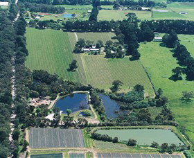 Ten Minutes By Tractor - QLD Tourism 2