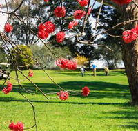 The Yass Golf Club - QLD Tourism