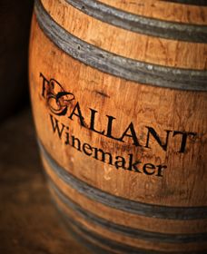 T'Gallant Winemakers - QLD Tourism 0
