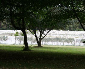 Staindl Wines - QLD Tourism 0