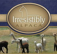 Marchmont Park Alpacas - QLD Tourism