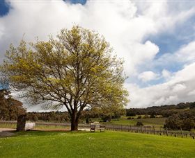 Tuck's Ridge - QLD Tourism 2