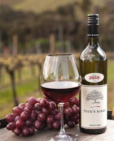 Tuck's Ridge - QLD Tourism 4