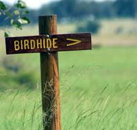 Wooroolin Wetland - Queensland Tourism