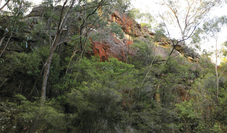 South Littleton NSW QLD Tourism
