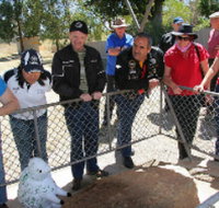 Fossil Rock - QLD Tourism