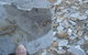 Fossil Rock - thumb 1