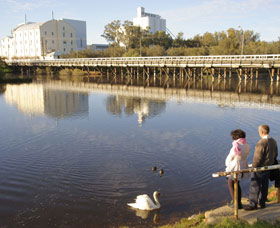 Avon River - Queensland Tourism 1