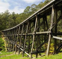 Noojee Trestle Bridge - QLD Tourism