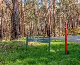 Lobs Hole Ravine 4WD Trail - Queensland Tourism 0