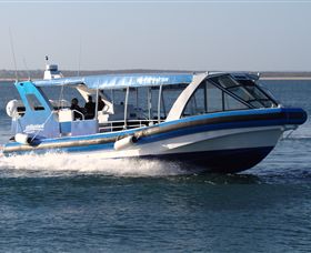 Phillip Island Nature Parks - QLD Tourism 2