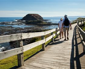 Phillip Island Nature Parks - QLD Tourism 3