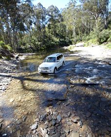 Aberfeldy Four Wheel Drive Track - QLD Tourism 0