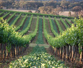 Two Rivers Wines - QLD Tourism 1