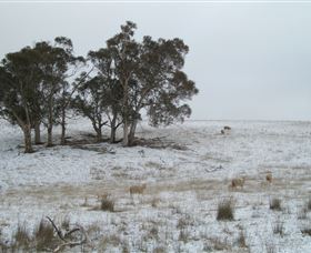 Crookwell Wind Farm - Queensland Tourism 2