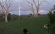 Crookwell Wind Farm - thumb 1