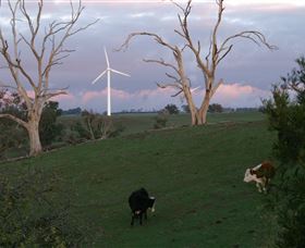 Crookwell Wind Farm - Queensland Tourism 1