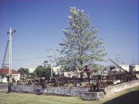Clifton Historical Museum - Queensland Tourism 1