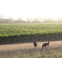 Small Forest Wine - QLD Tourism