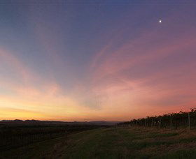 Small Forest Wine - QLD Tourism 2