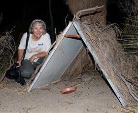 Barna Mia Native Animal Sanctuary - QLD Tourism 3