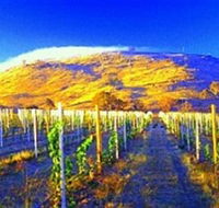 Surveyors Hill Winery - QLD Tourism