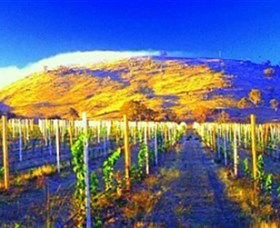 Surveyors Hill Winery - QLD Tourism 0