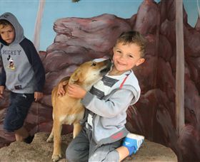 Maru Koala And Animal Park - QLD Tourism 3