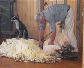 Maru Koala And Animal Park - QLD Tourism 8