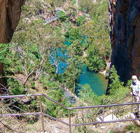 Carlotta Arch walking track - QLD Tourism