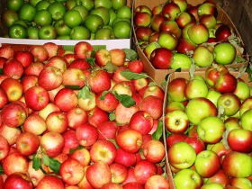Suttons Juice Factory And Cidery - Queensland Tourism 2