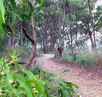 Mount Mutton Walking Trail - Queensland Tourism