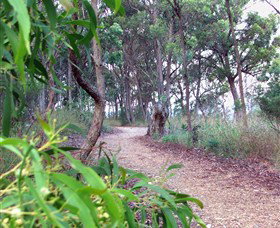 Mount Mutton Walking Trail - QLD Tourism 0