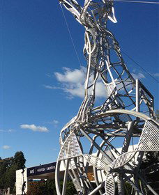 Australian Institute Of Sport (AIS) - Queensland Tourism 0