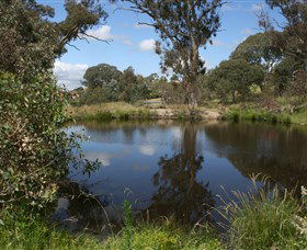 Cooleman Ridge - QLD Tourism 0