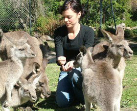 Canons Shuttles Day Tours - Queensland Tourism 0