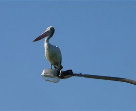 Bailey's Sydney - Tours For People Who Don't Like Tours - QLD Tourism 3
